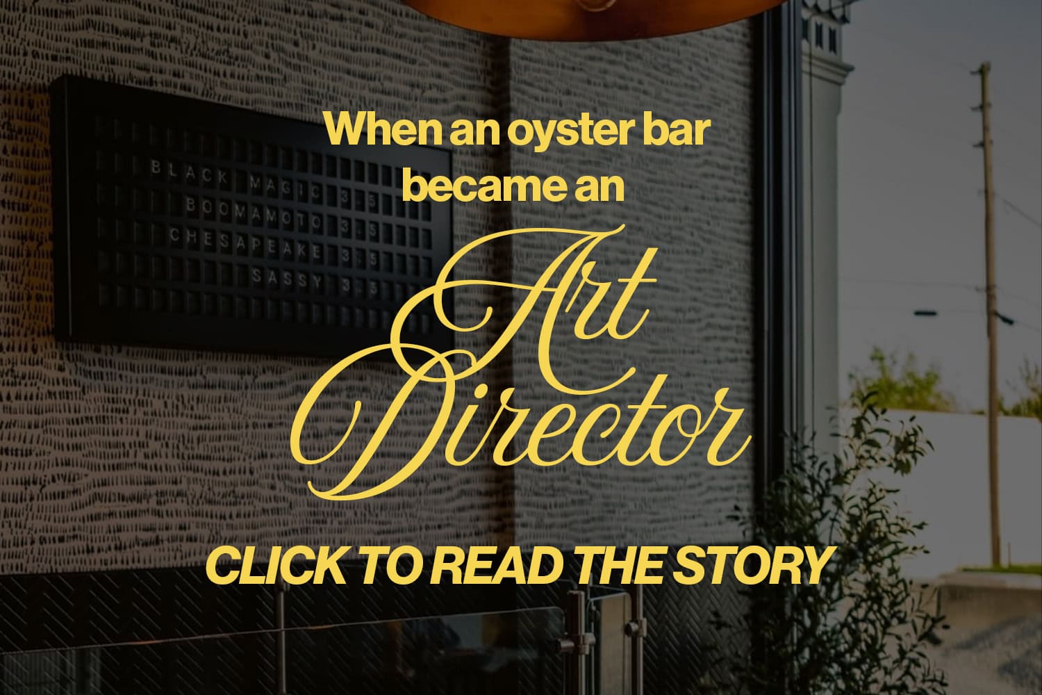 1X Ticks Streetwear - ticks art dir